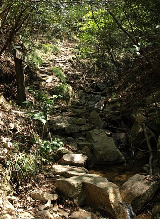 登山道