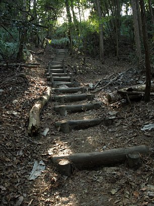 猿投山登山道