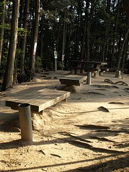 ベンチ完備