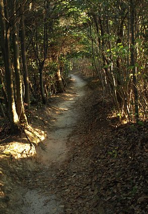 下山