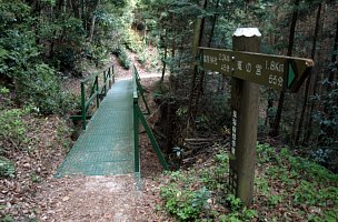 猿投神社へ