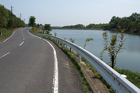 大池の脇の道