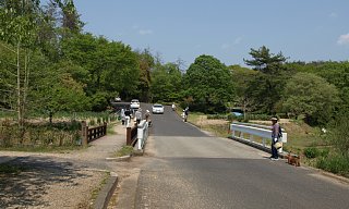 昭和の森の車道