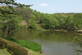 公園内の池