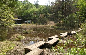 あずま屋付きの池