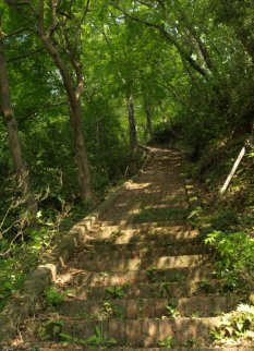 城跡へ上る階段