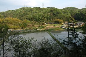 山中町の水田