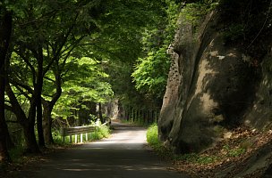 巴川左岸の車道