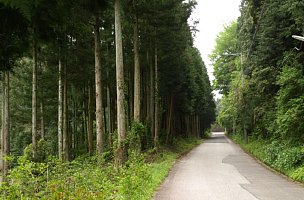 山ヶ谷