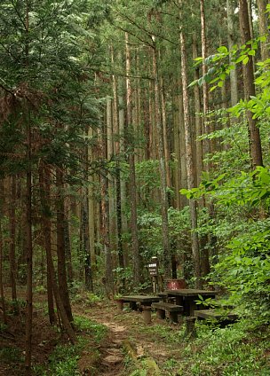 林と休憩ベンチ