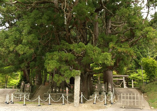 平勝寺山門