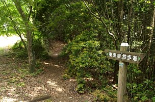 林道から山道へ