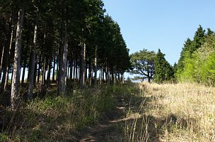 筈ヶ岳の道