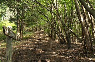 寧比曽岳登山道