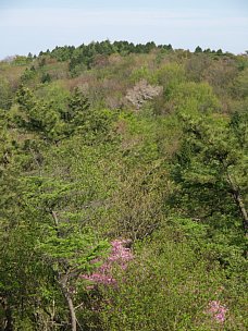 富士見峠の山肌