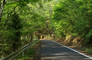 伊勢神へ