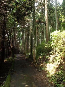 峠道