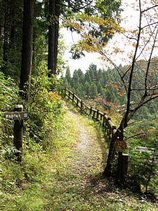 駆け上がる道