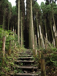 木階段の急登