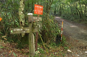 五六橋の道標