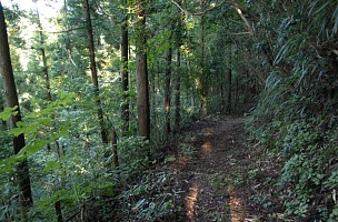 山腹の巻き道