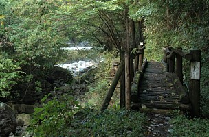 木橋