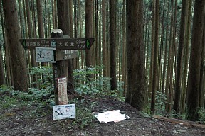 清流公園分岐