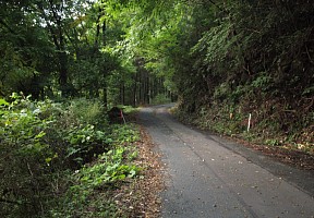 寒狭川右岸車道