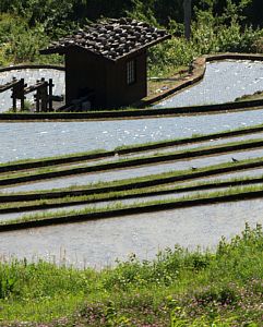 千枚田拡大