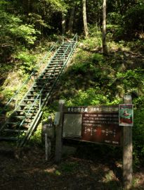 峠へ上がる階段