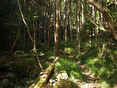 草付き登山道