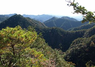 県民の森区域