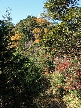 宇連山稜線