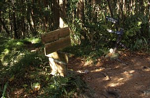 鳳来寺山分岐