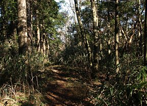 宇連山分岐へ