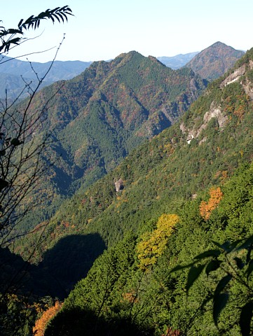 秋の山肌