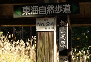 「棚山高原」