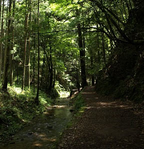 七滝への道