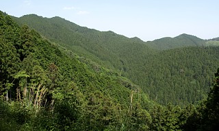 鳶ノ巣山