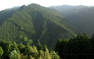 山