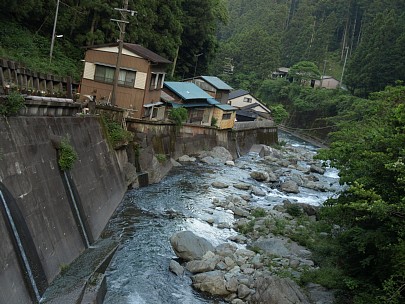 白倉川下流