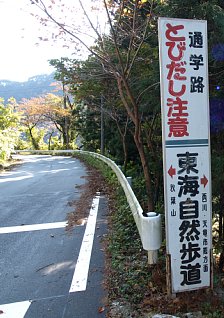 県道265号