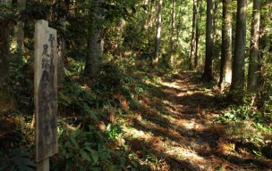 秋葉山登山道