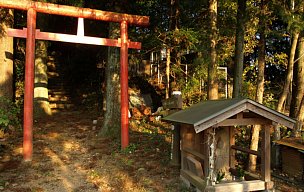 鳥居と祠