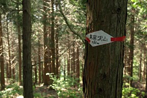 鳥居沢山山頂