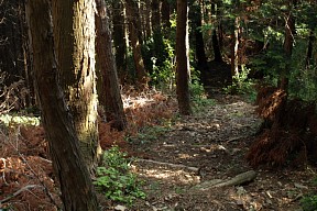 下山道