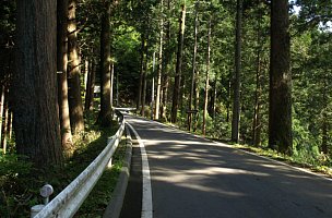 大日山の道