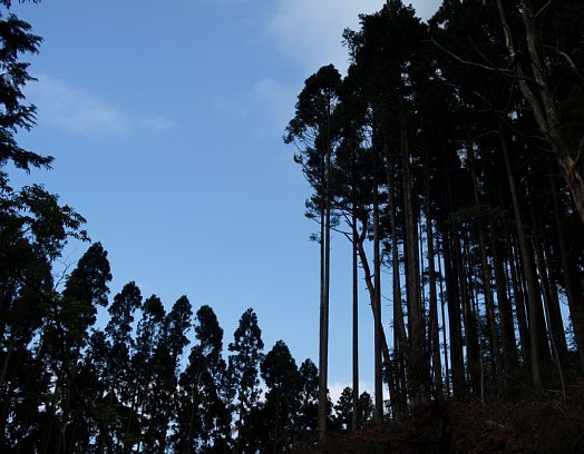 午後の空