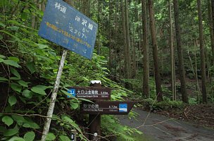 林道雨沢線入口