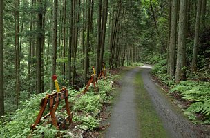 路肩注意